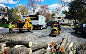 Trusted Crete, IL Tree Removal and Landscaping Services Experts